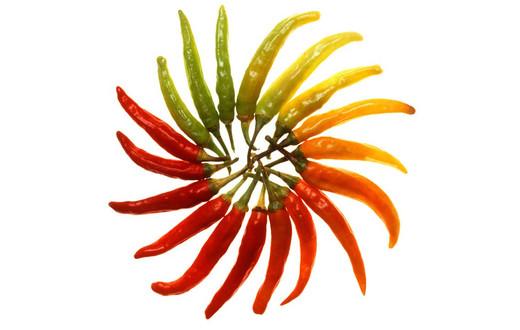 Plaatje bij antwoord