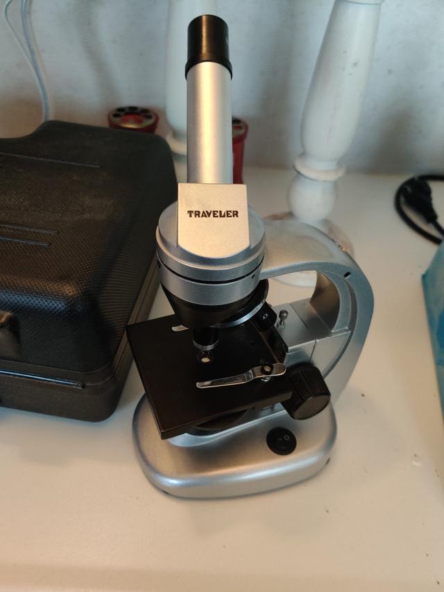 Picture for question