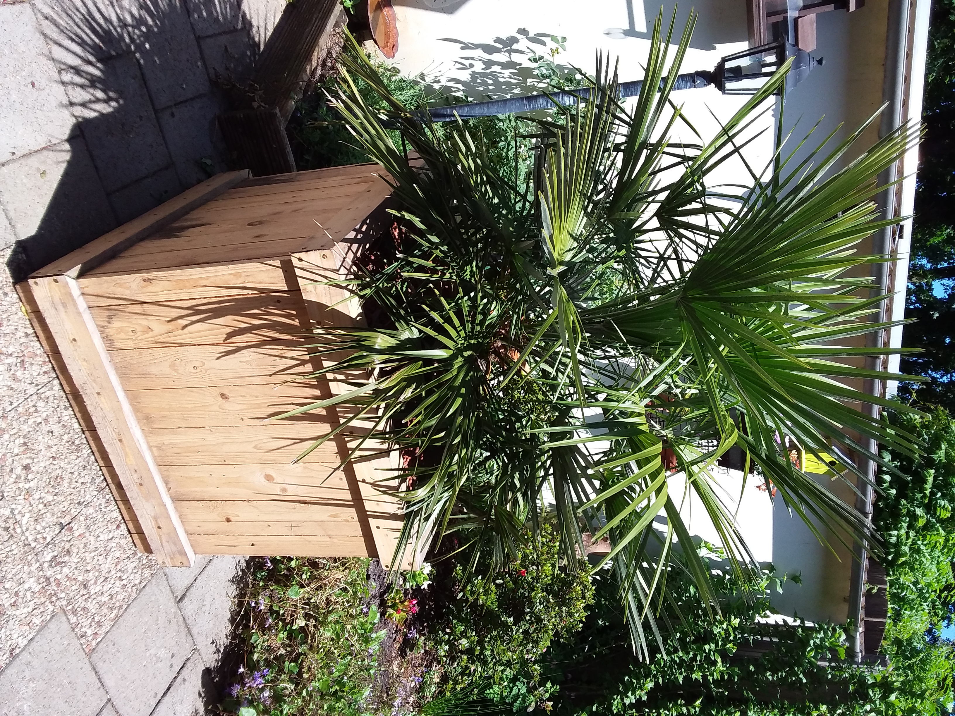 Picture for question