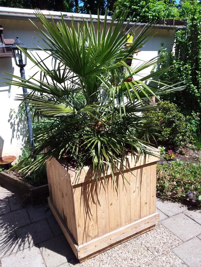 Picture for question