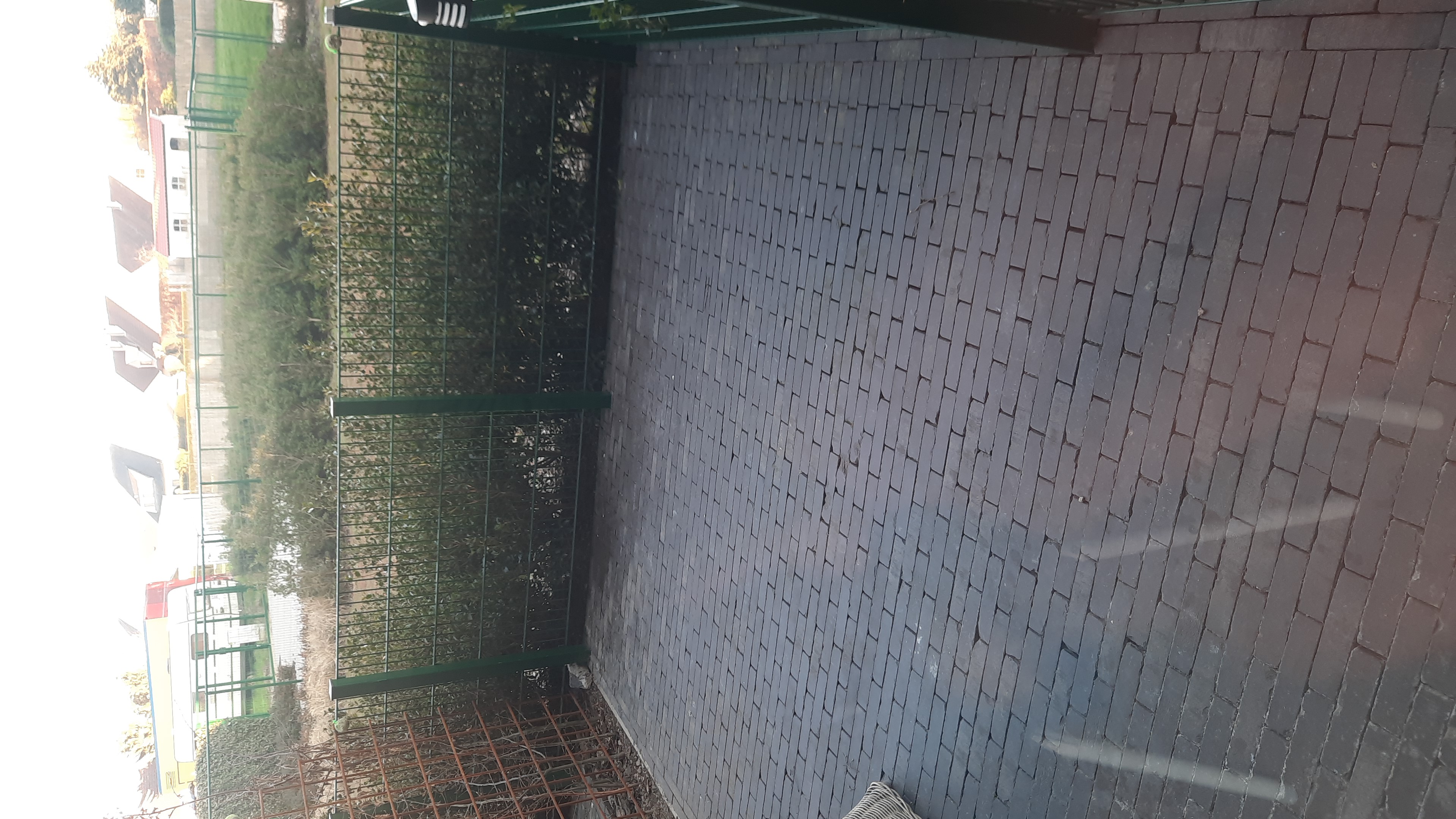 Picture for question