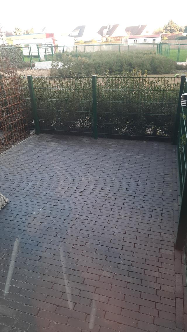 Picture for question