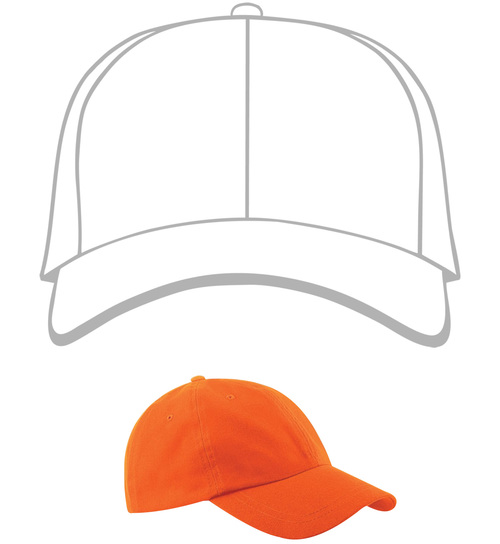 Picture for question