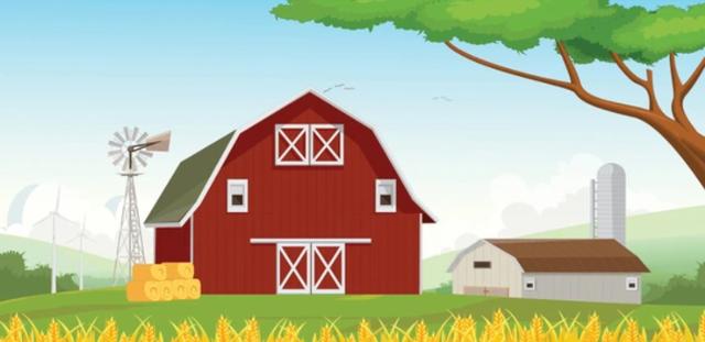 Picture for question