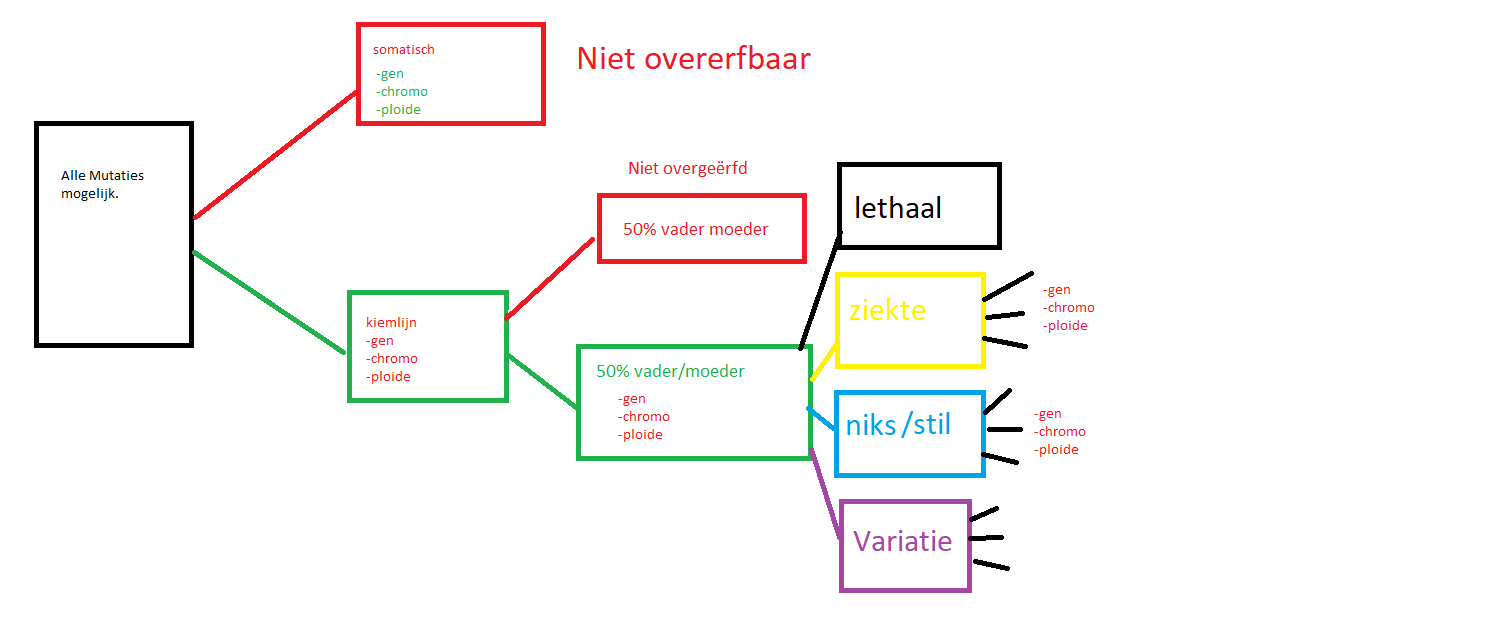 Plaatje bij antwoord