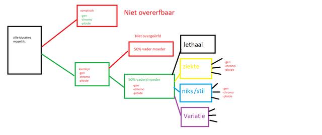Plaatje bij antwoord