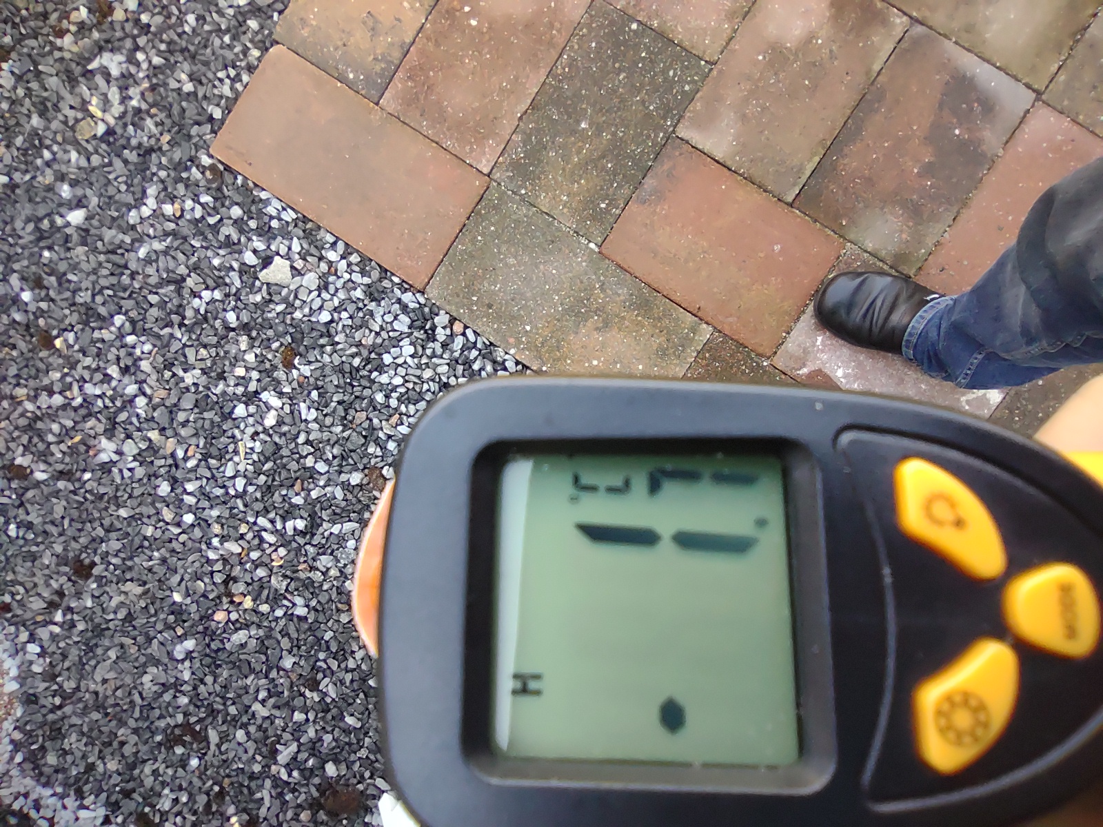 Picture for question