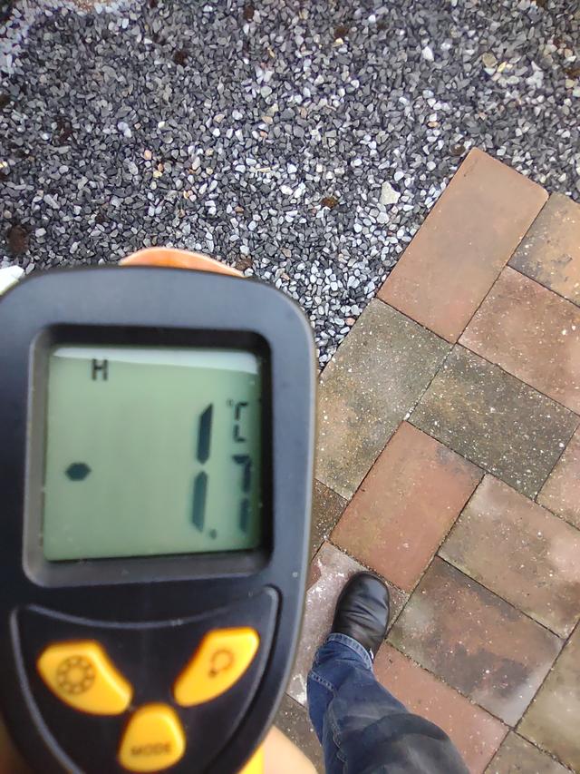 Picture for question