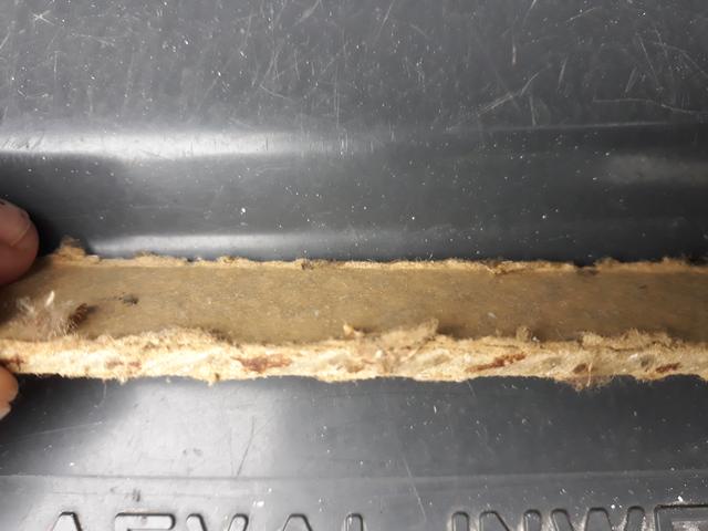 Picture for question