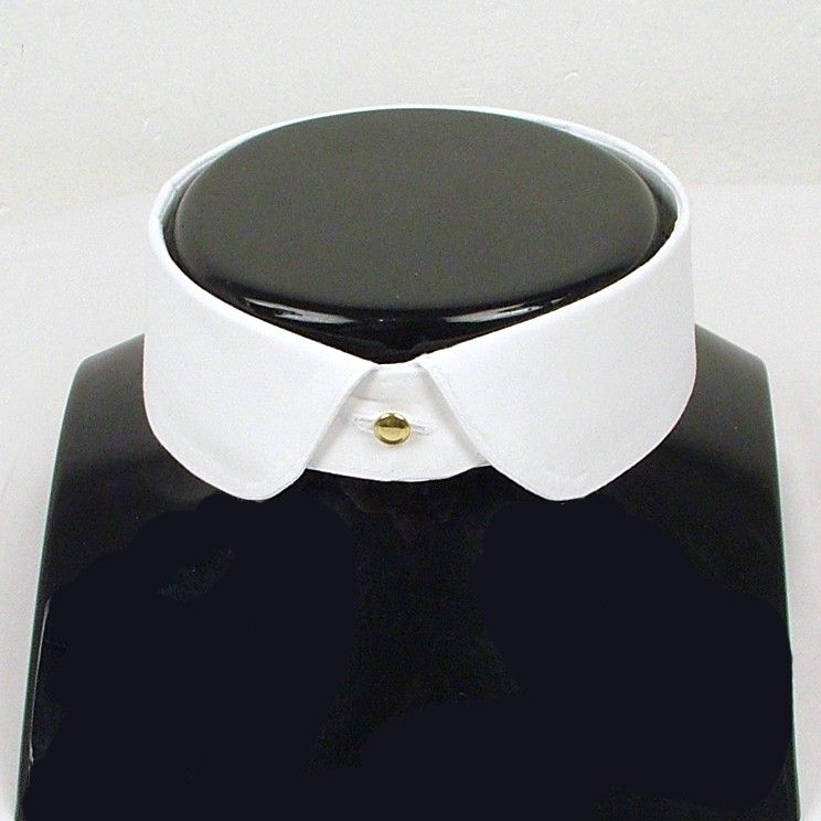 Picture for question