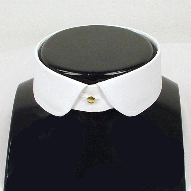 Picture for question