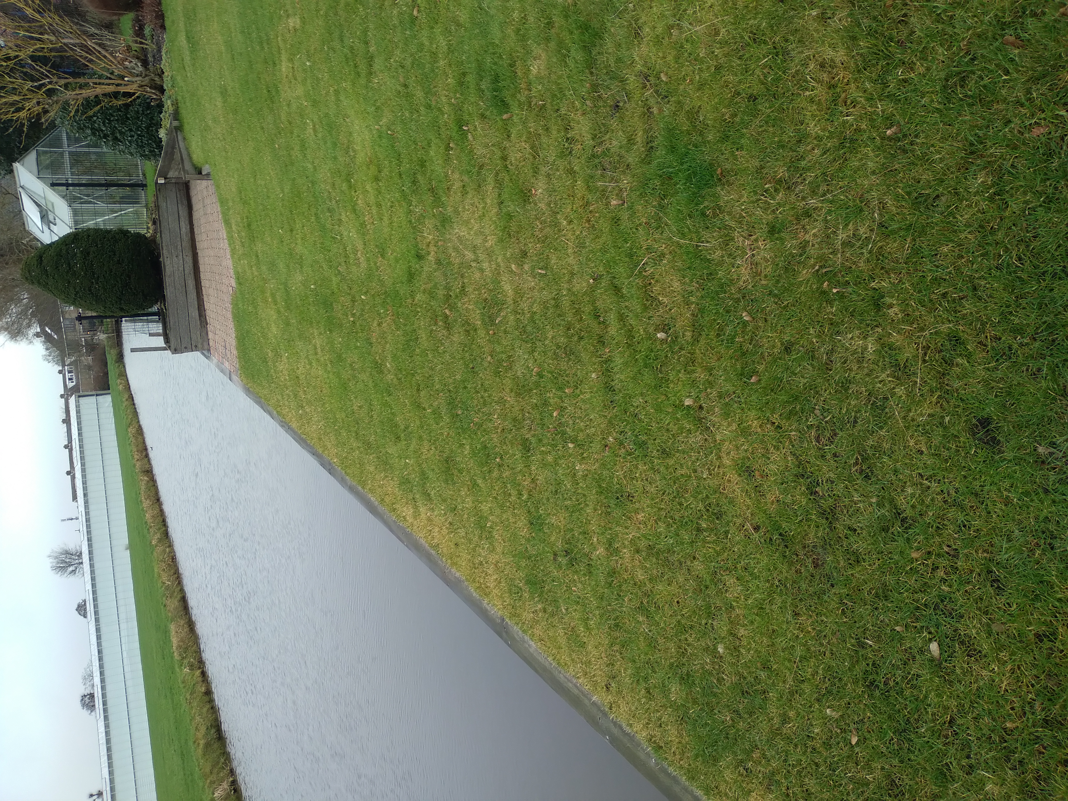 Picture for question