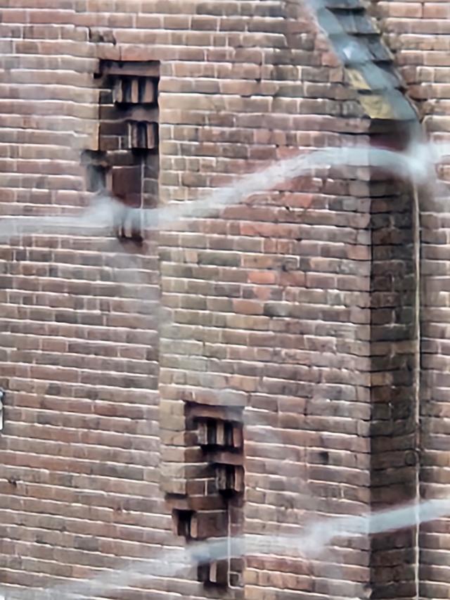 Picture for question