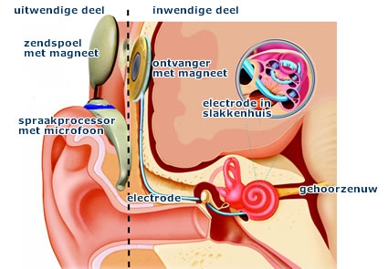 Plaatje bij antwoord