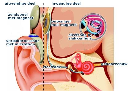 Plaatje bij antwoord