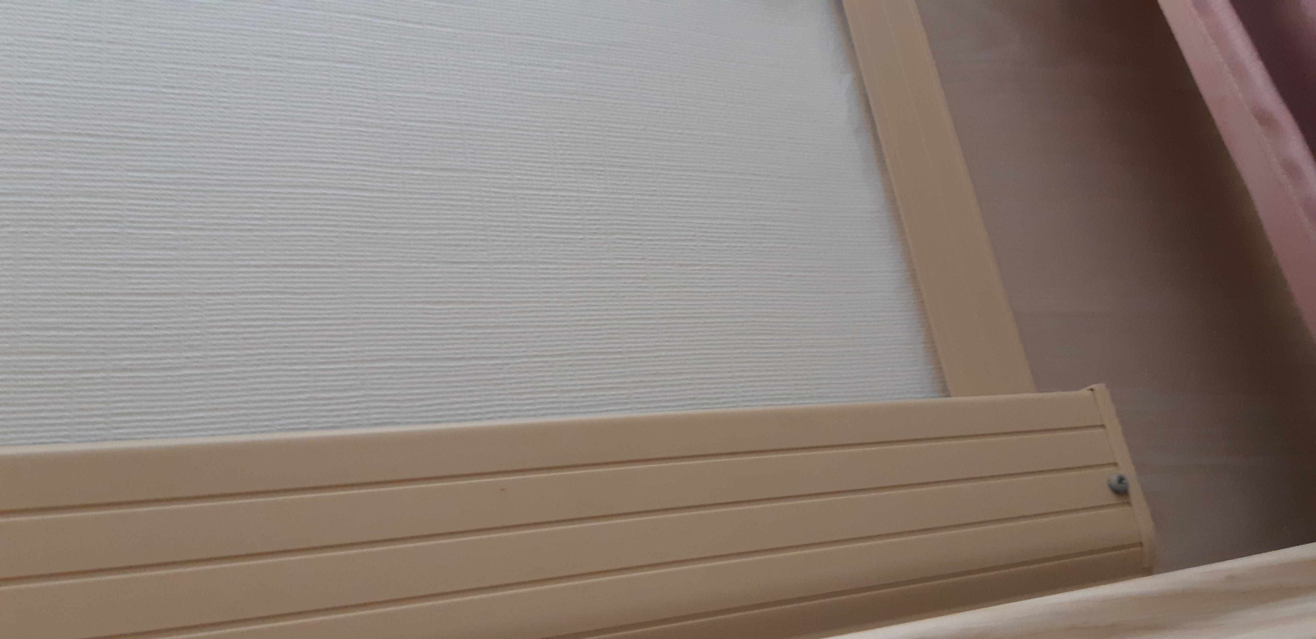 Picture for question