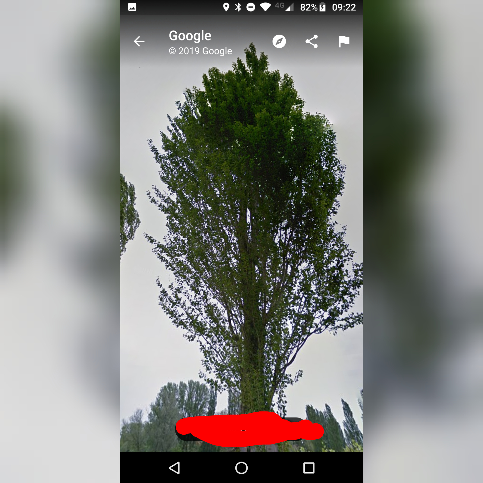 Picture for question