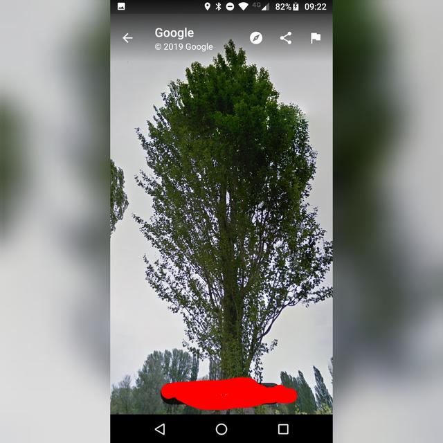 Picture for question