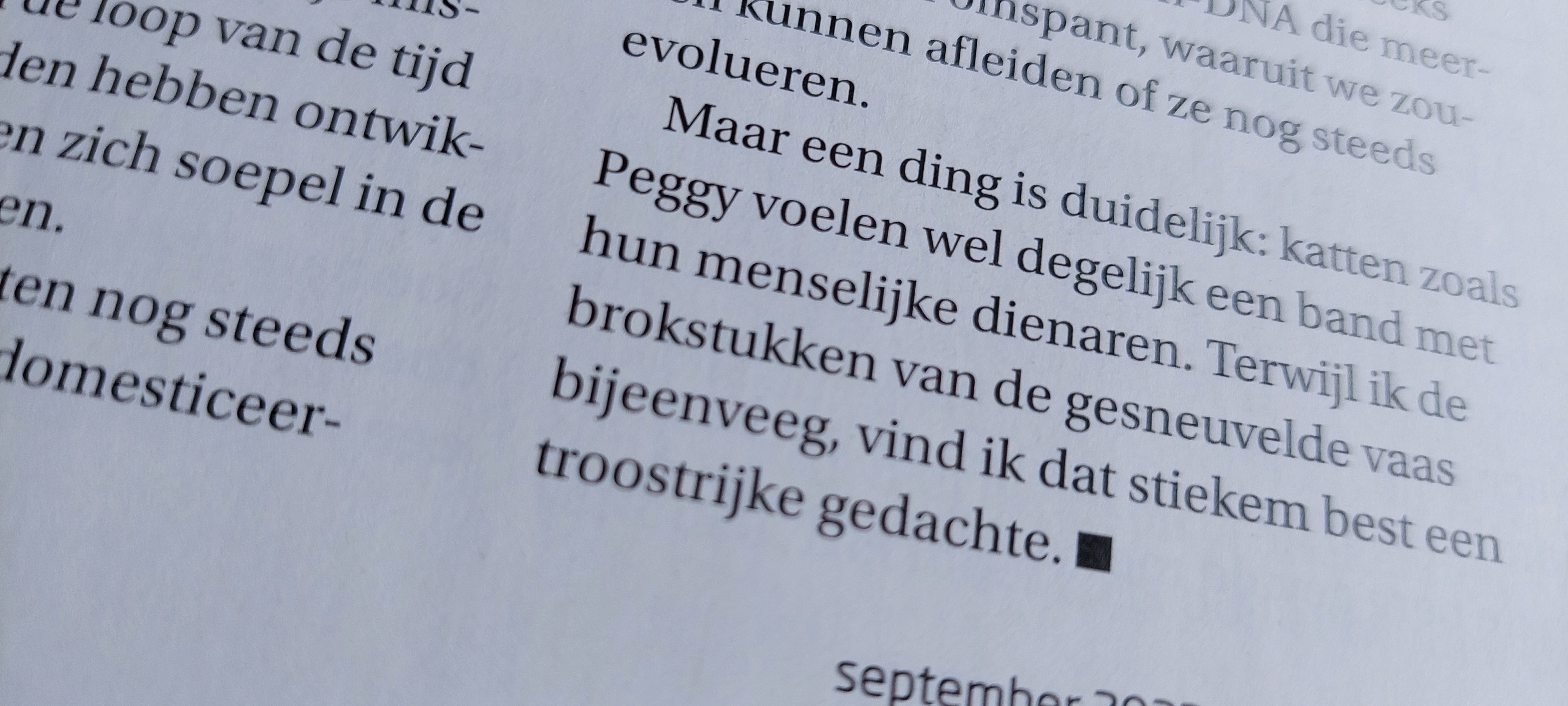 Picture for question