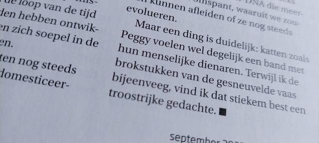 Picture for question