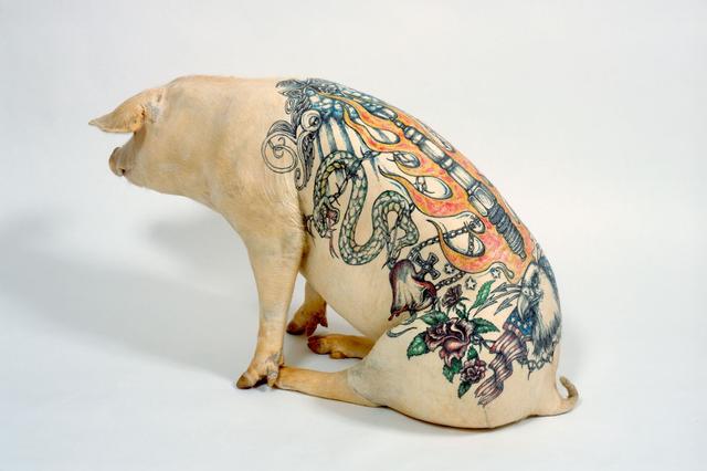 Plaatje bij antwoord