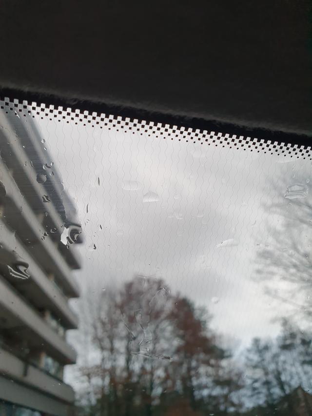 Picture for question