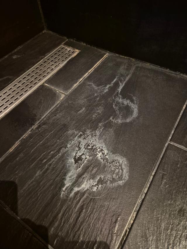 Picture for question