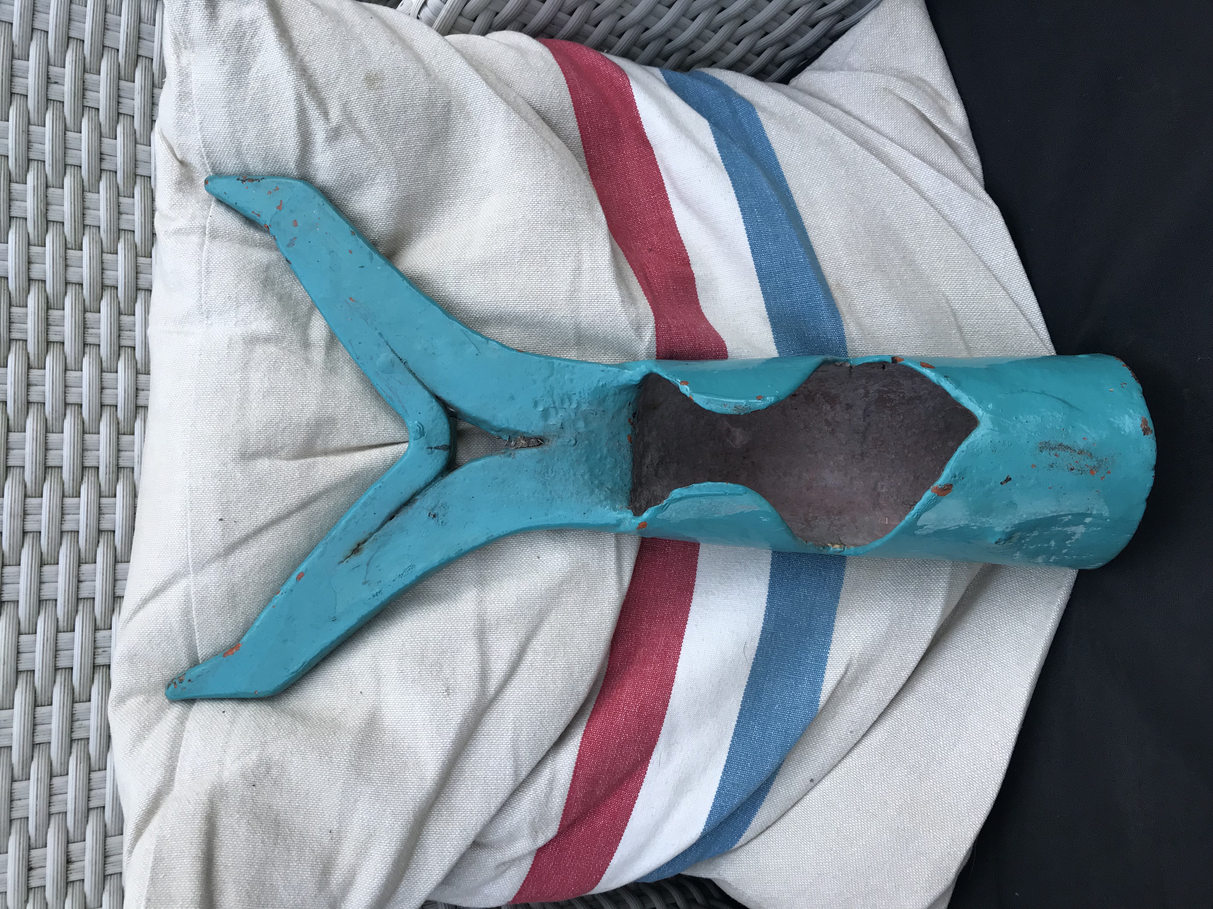 Picture for question