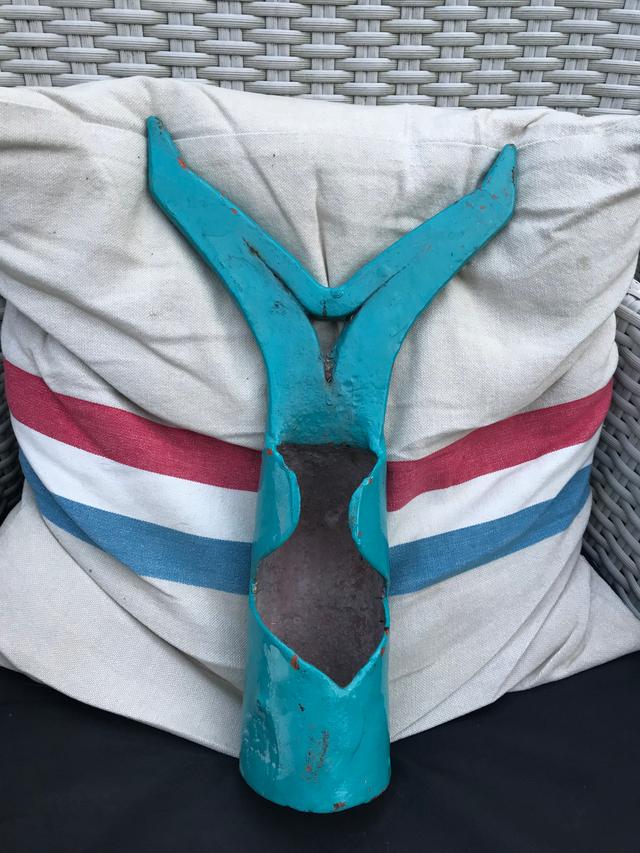 Picture for question