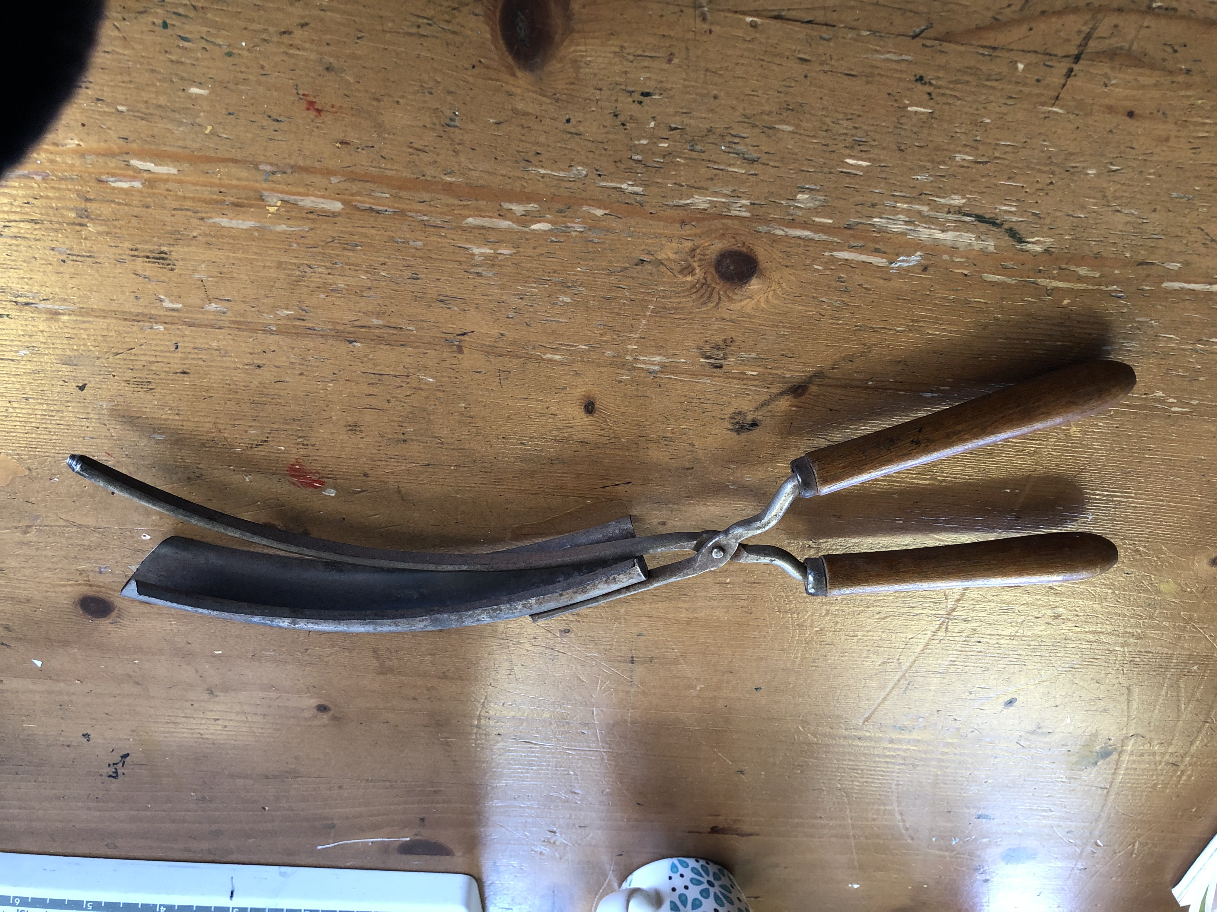 Picture for question