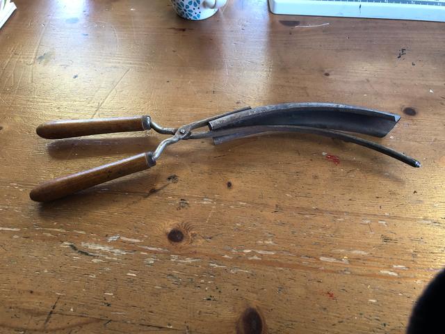 Picture for question