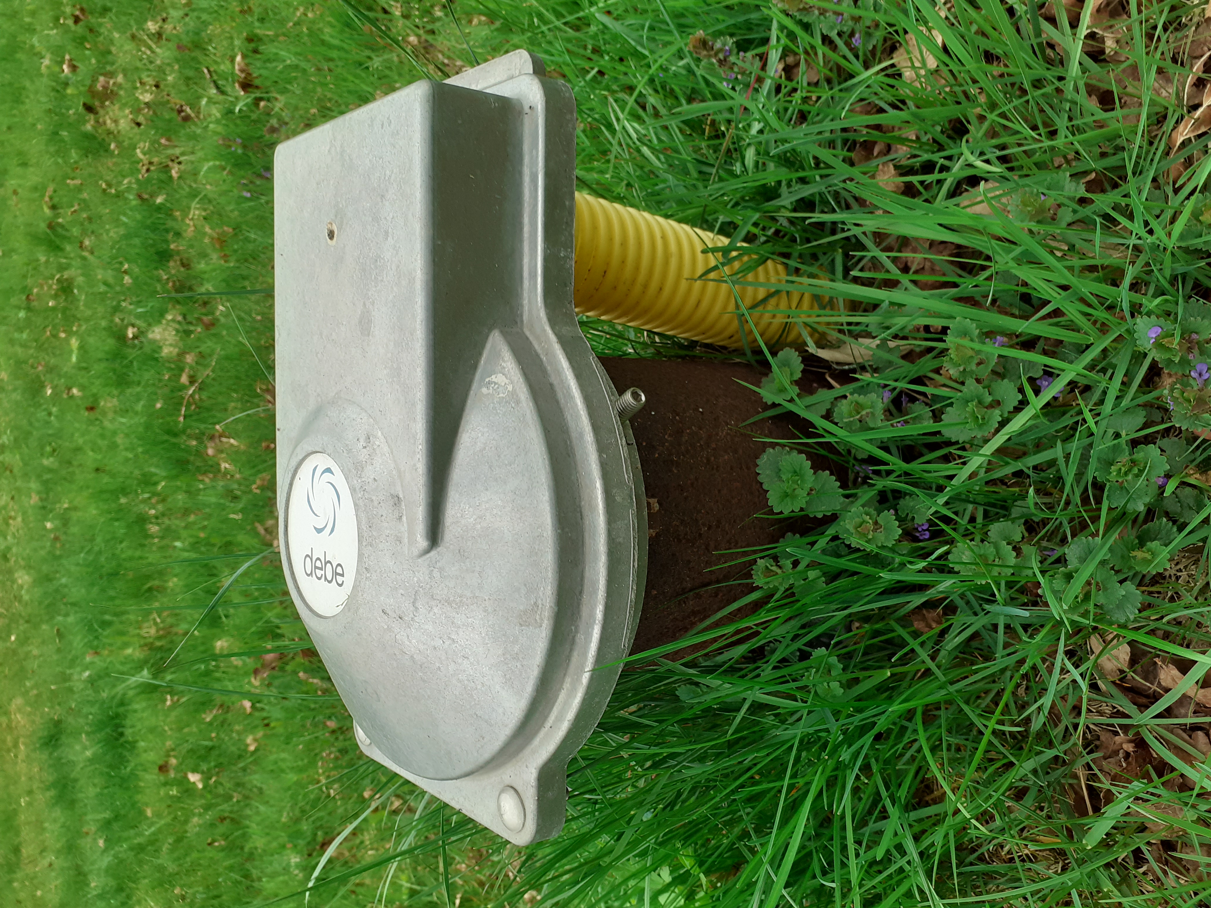 Picture for question