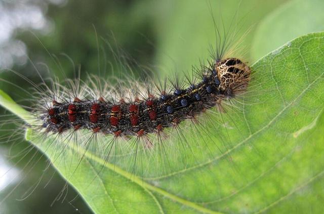Plaatje bij antwoord
