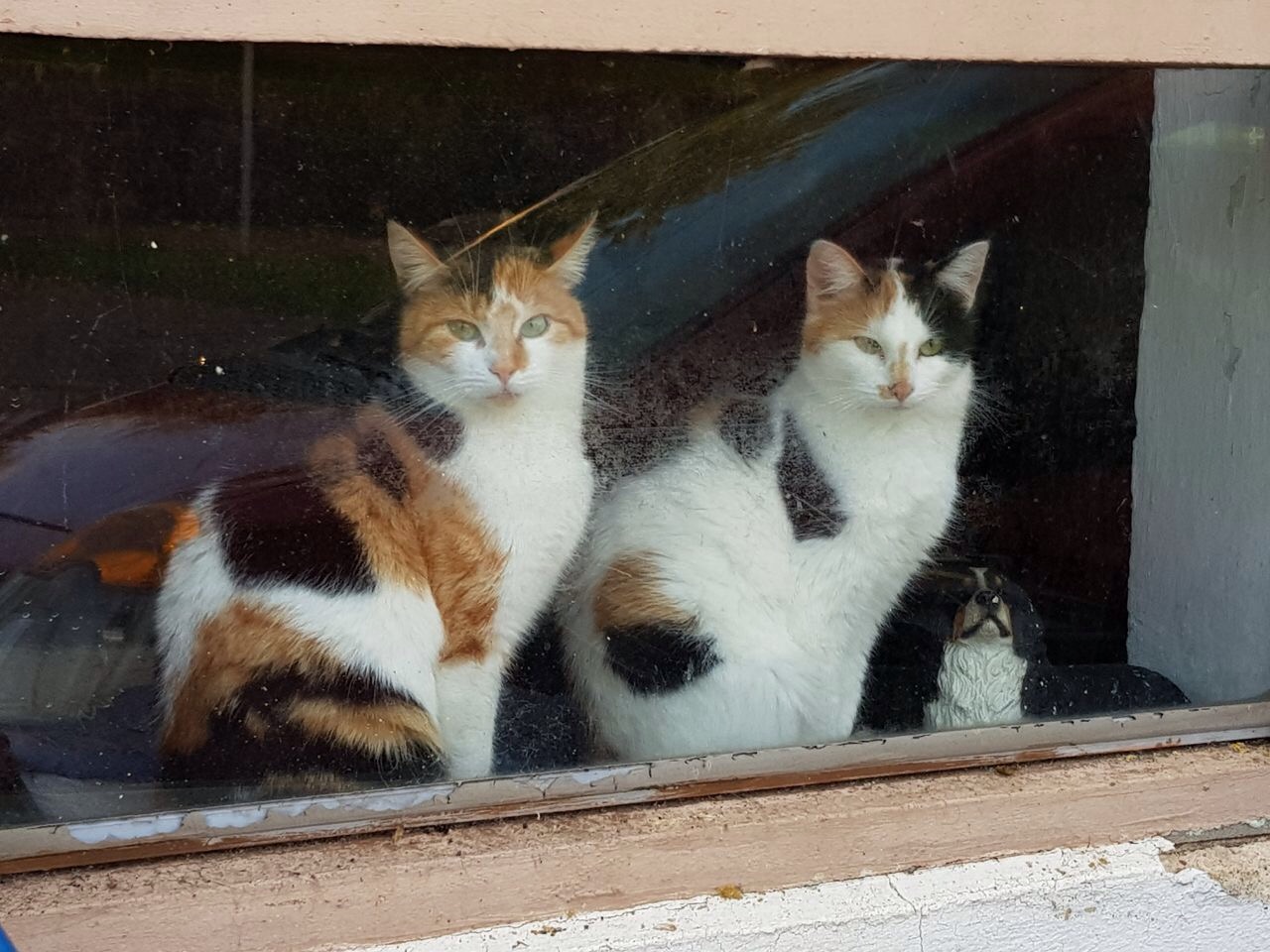 Picture for question