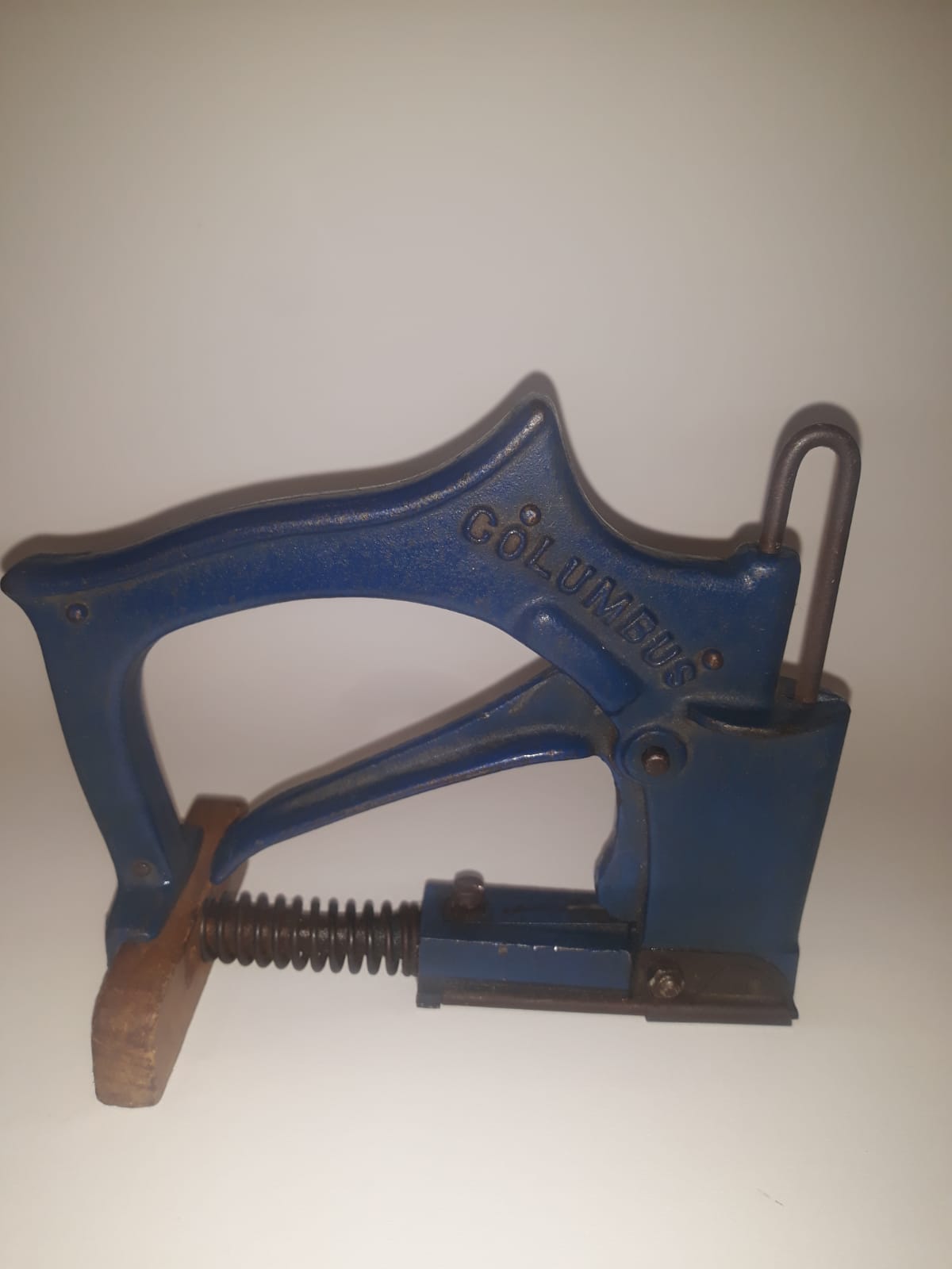 Picture for question