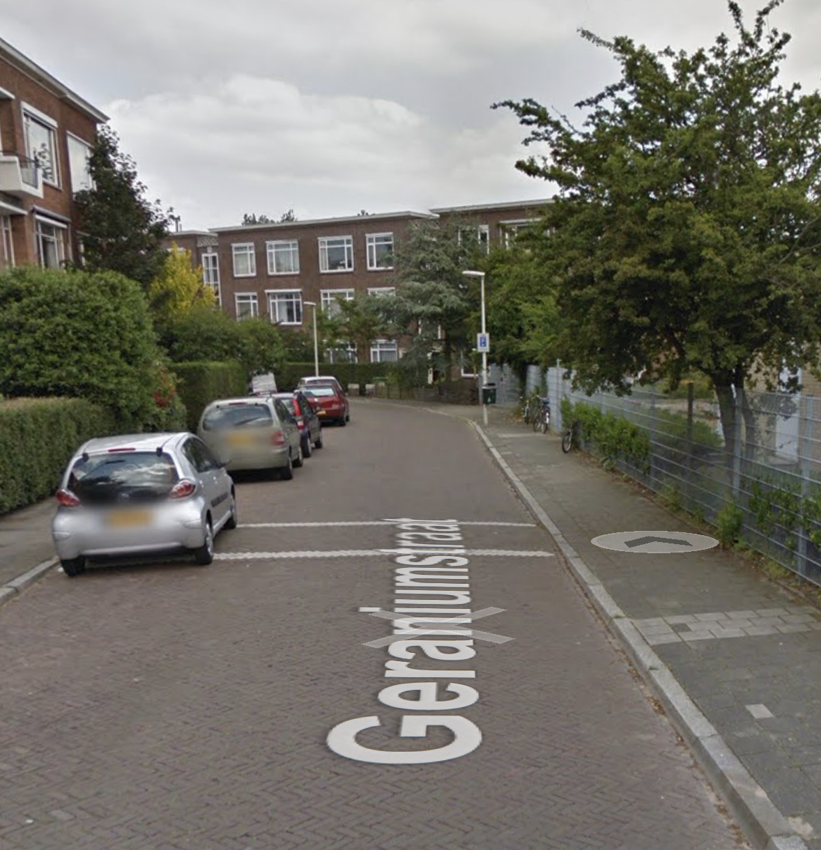 Picture for question