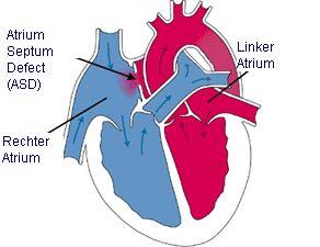 Plaatje bij antwoord