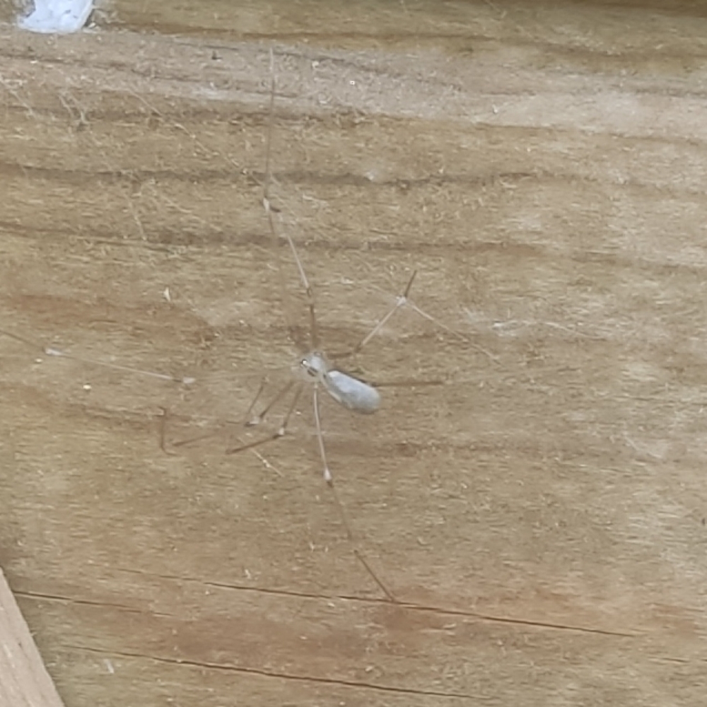 Plaatje bij antwoord