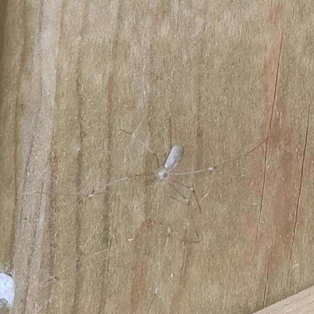 Plaatje bij antwoord