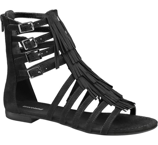 Picture for question