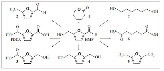 Picture for question