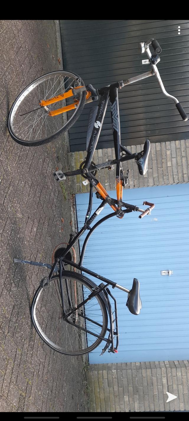 Picture for question