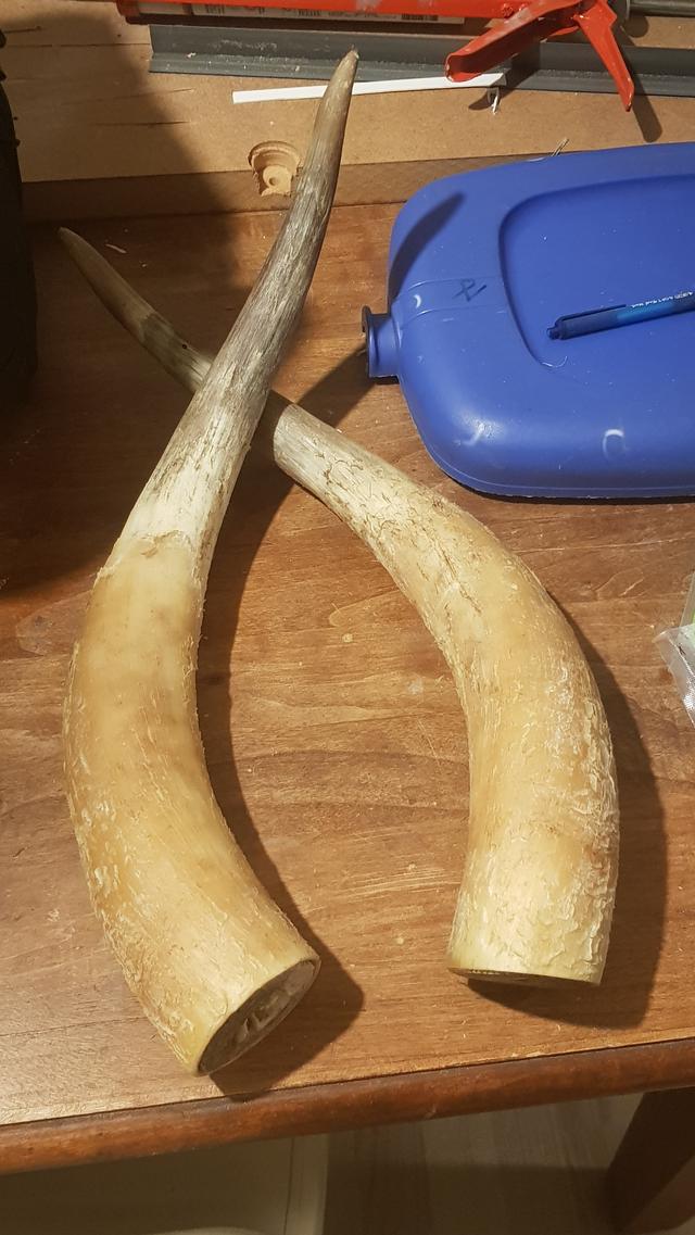 Picture for question