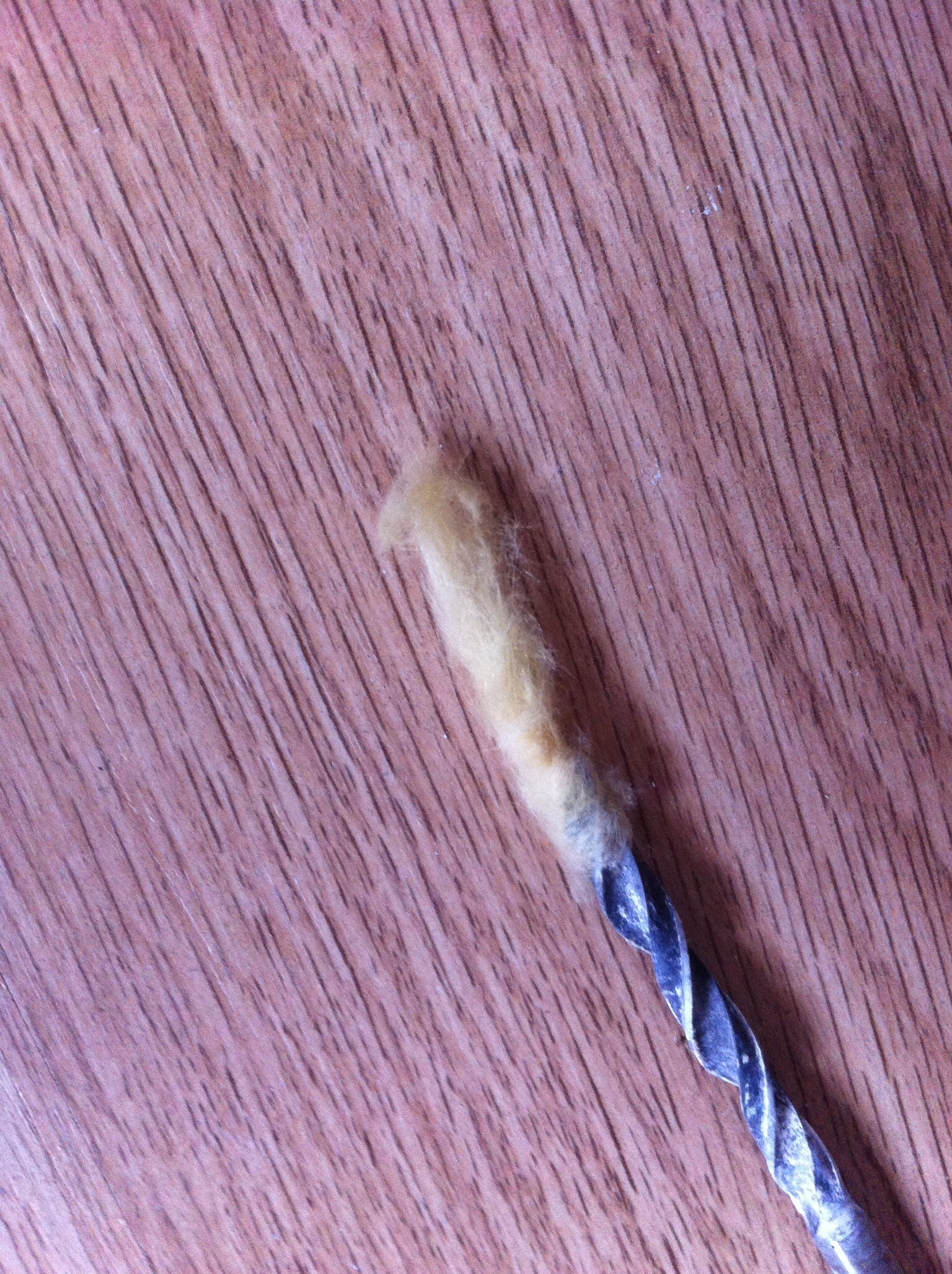 Picture for question