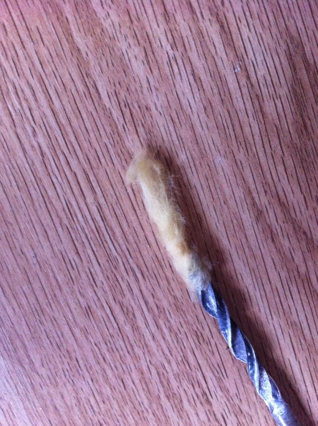 Picture for question