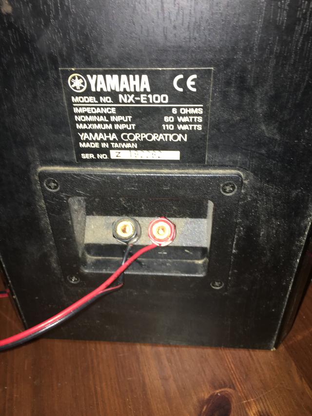 Picture for question