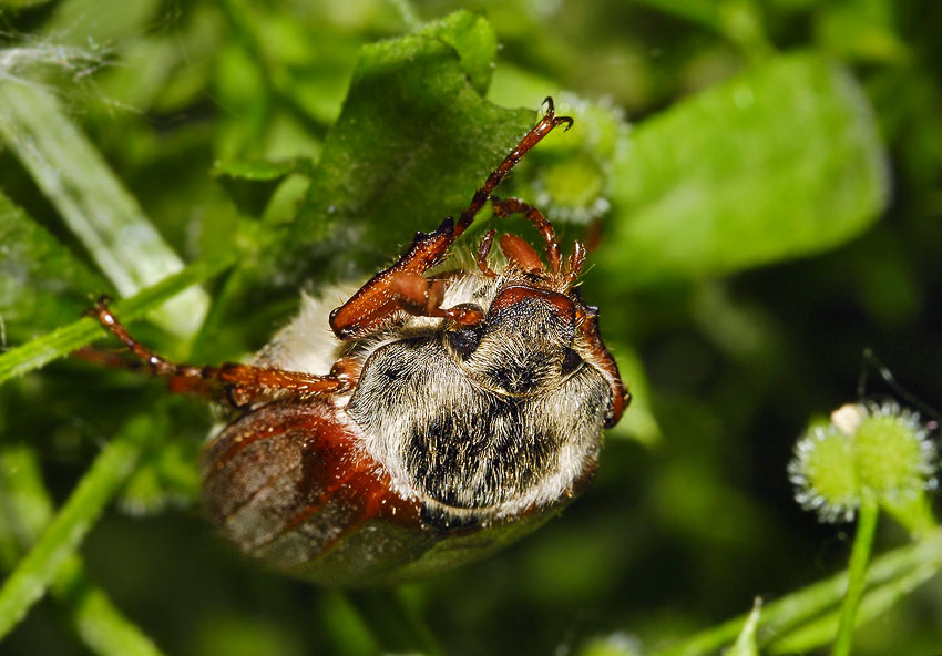 Plaatje bij antwoord