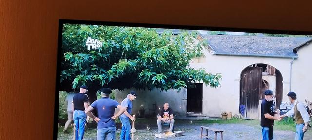 Picture for question