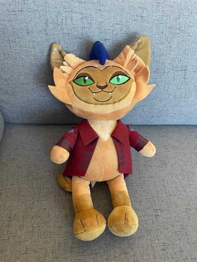 Picture for question