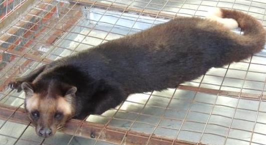 Plaatje bij antwoord